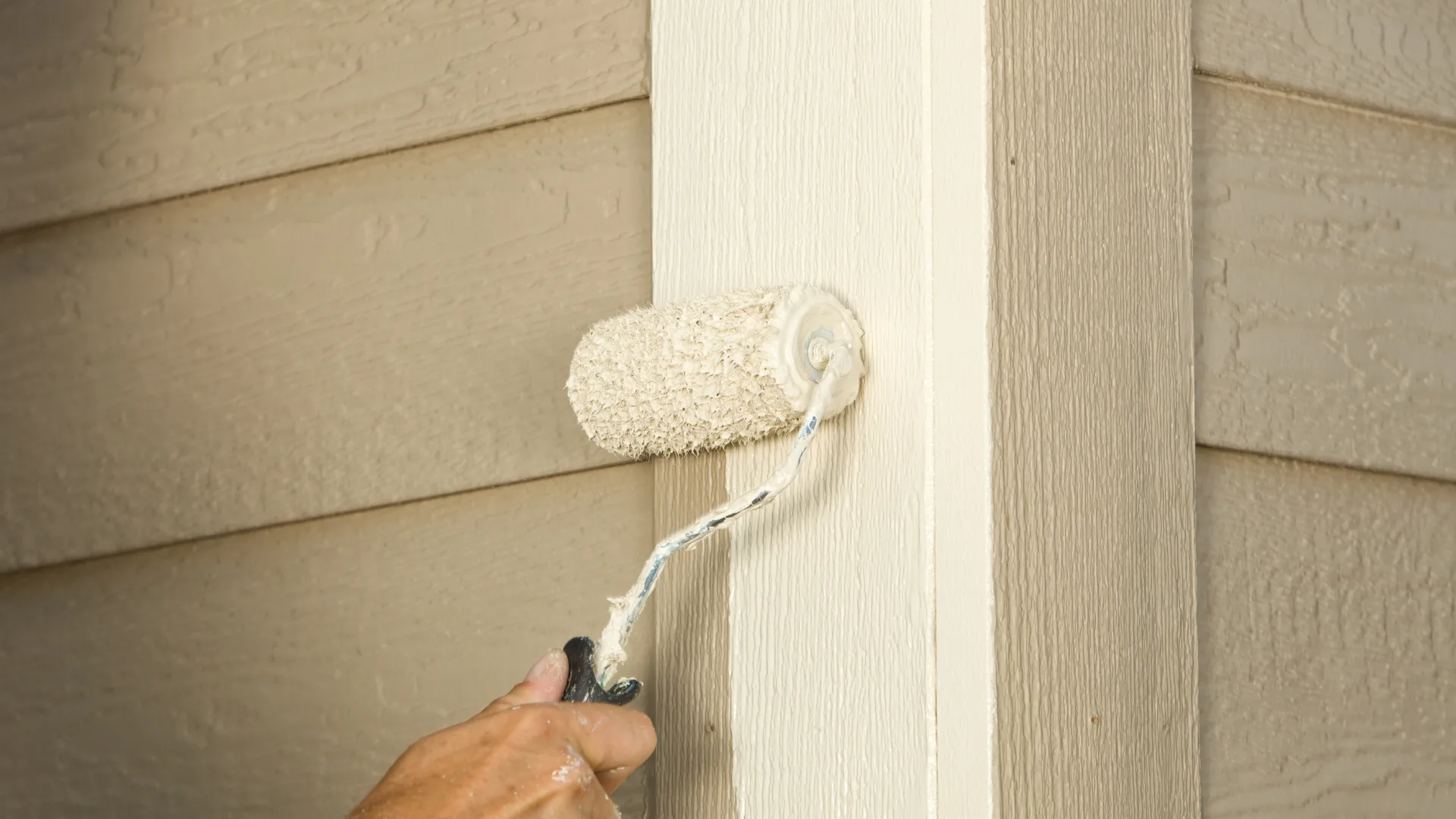 Dry rot repair in sacramento and Bay Area