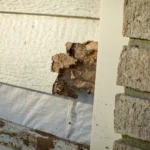 Cost of Dry Rot Repair Sacramento – damaged siding example